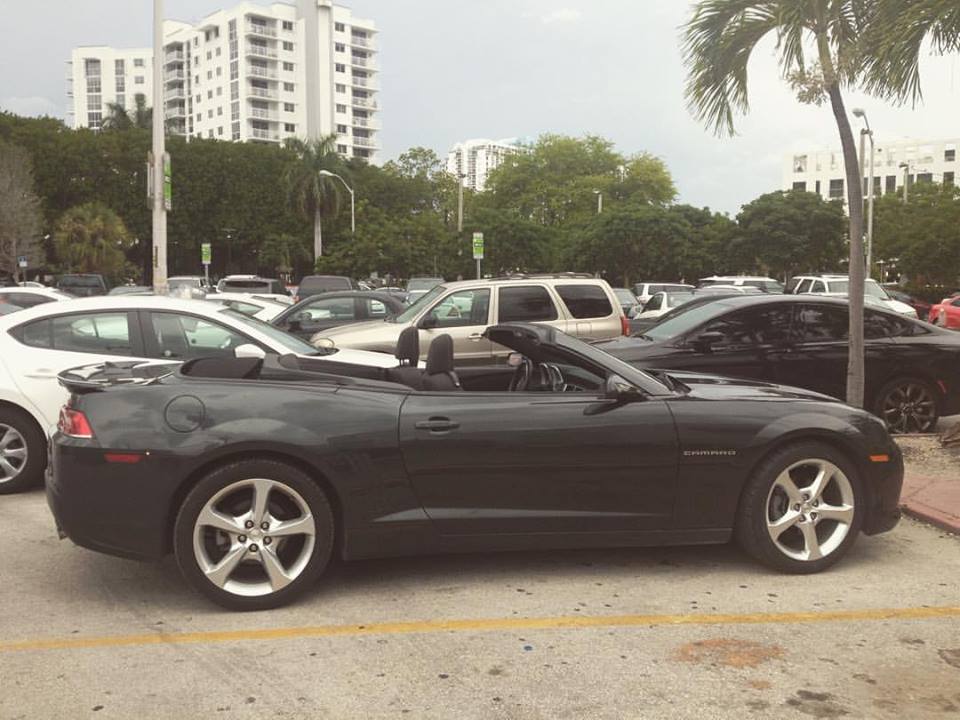 13537543_257836144597072_4926514616166890583_n