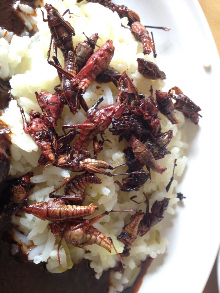 Chapulines. They taste better than they have any right to.